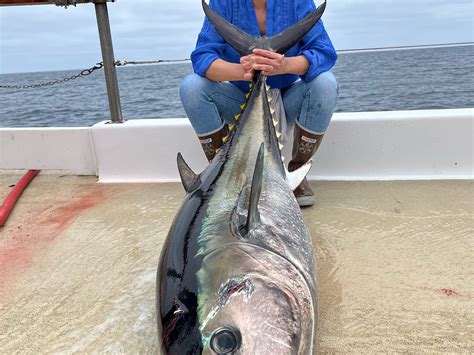 Seaforth fishing - My first Blue Fin Tuna trip of 2023 starts off with LIMITS!!!!! In this video we are fishing aboard The Highliner out of Seaforth Landing In San Diego Cali...